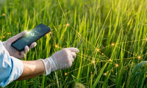 Vecchie trappole e nuovi Ogm – Il dibattito pubblico sugli organismi geneticamente modificati