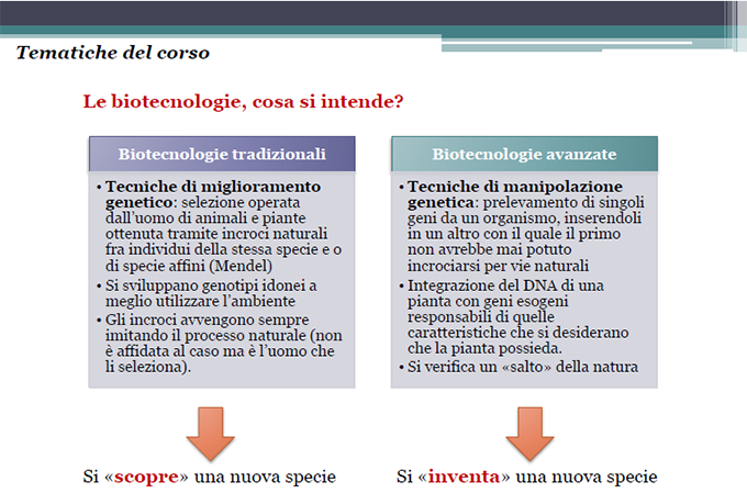 figura 2